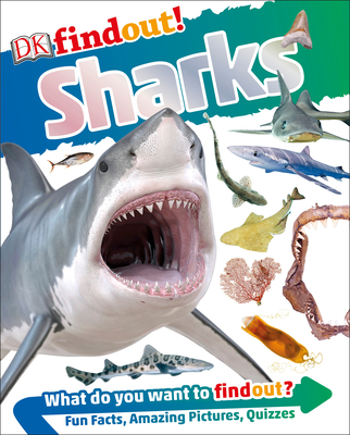 Cover for DKfindout! Sharks (DK findout!)