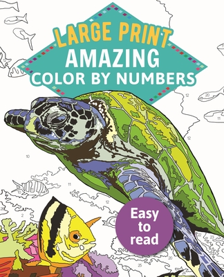 Amazing Color by Numbers Large Print (Sirius Large Print Color by Numbers Collection #1)