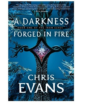 A Darkness Forged in Fire Cover