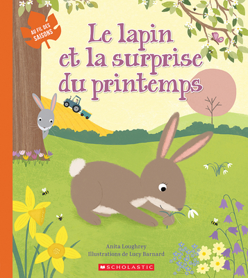 Cadeau pour Lapin – Bunny Town Shop