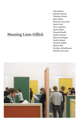 Meaning Liam Gillick