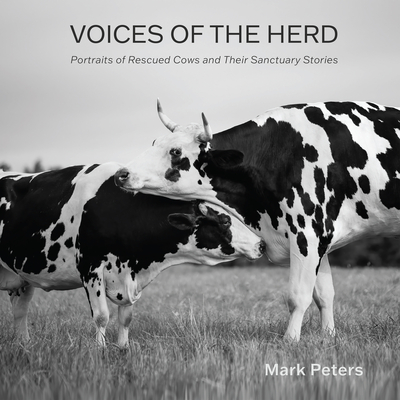Voices of the Herd: Portraits of Rescued Cows and Their Sanctuary Stories By Mark Peters Cover Image