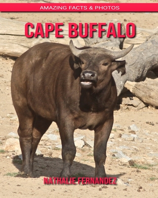 Cape Buffalo: Amazing Facts & Photos (Paperback) | Books and Crannies