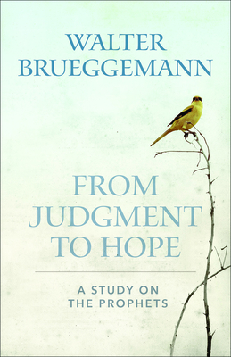From Judgment to Hope: A Study on the Prophets By Walter Brueggemann Cover Image