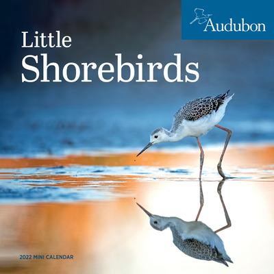 Cover for Audubon Little Shorebirds Mini Wall Calendar 2022