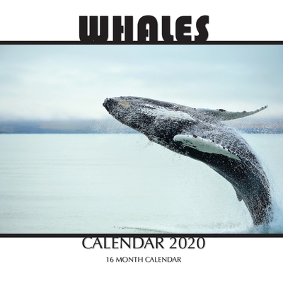 Whales Calendar 2020: 16 Month Calendar By Golden Print Cover Image