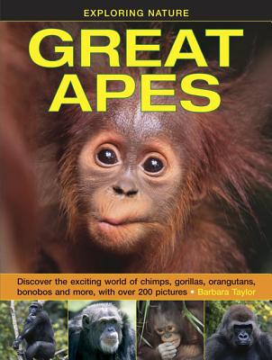 Exploring Nature: Great Apes: Discover the Exciting World of Chimps, Gorillas, Orangutans, Bonobos and More, with Over 200 Pictures Cover Image