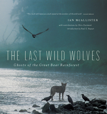 The Last Wild Wolves: Ghosts of the Rain Forest By Ian McAllister, Paul C. Paquet (Introduction by), Chris Darimont (Contribution by) Cover Image