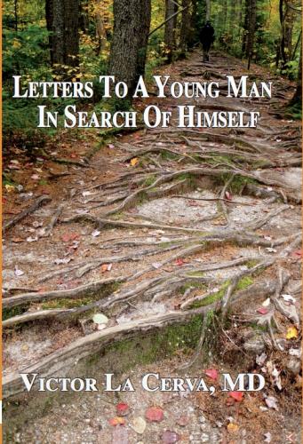 Letters to A Young Man in Search of Himself Cover Image