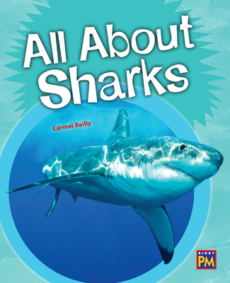 All about Sharks: Leveled Reader Silver Level 23 By Rg Rg (Prepared by) Cover Image