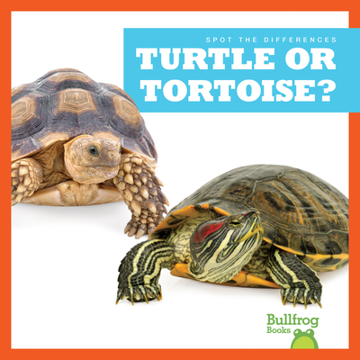 Turtle or Tortoise? (Spot the Differences) Cover Image