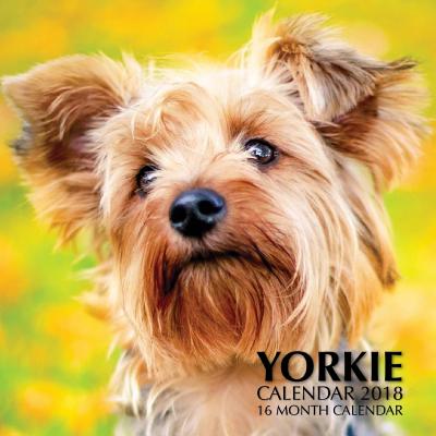 Yorkie Calendar 2018: 16 Month Calendar By Paul Jenson Cover Image