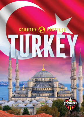 Turkey (Country Profiles) By Golriz Golkar Cover Image