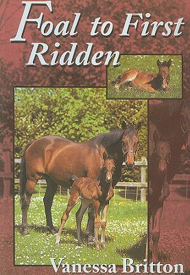 Foal to First Ridden By Vanessa Britton Cover Image