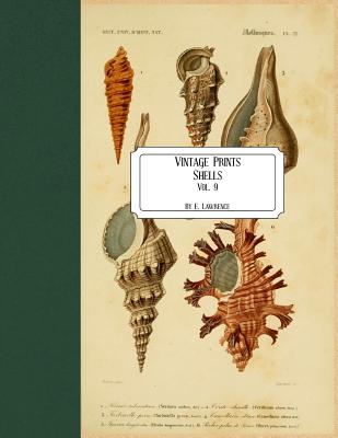 人気メーカー・ブランド (Paperback) 9 Vol. Shells: Prints: Vintage | Books Pegasus 洋書