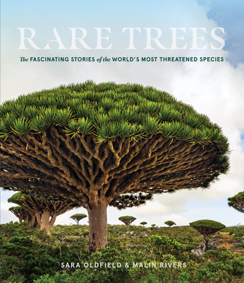 Rare Trees: The Fascinating Stories of the World’s Most Threatened Species By Sara Oldfield, Malin Rivers Cover Image