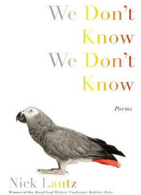 Cover for We Don't Know We Don't Know