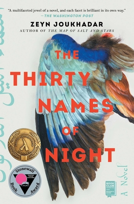 The Thirty Names of Night: A Novel