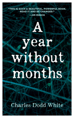 Cover for A Year without Months (In Place)