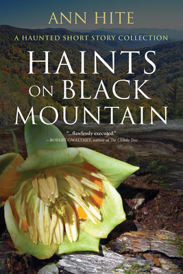 Haints on Black Mountain By Ann Hite Cover Image