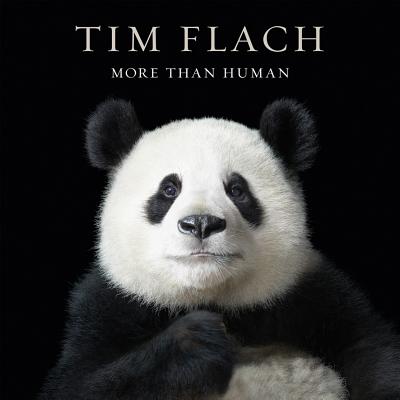 More than Human Cover Image