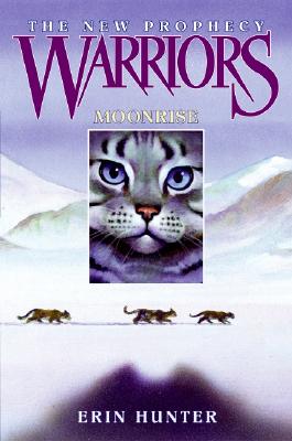 Warrior Cats Series 2 The New Prophecy By Erin Hunter 6 Books Set NEW COVER