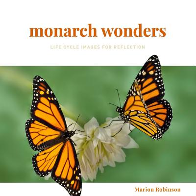 Reflections on a Monarch Butterfly