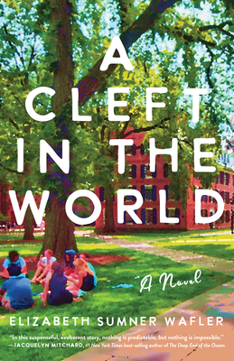 A Cleft in the World Cover Image