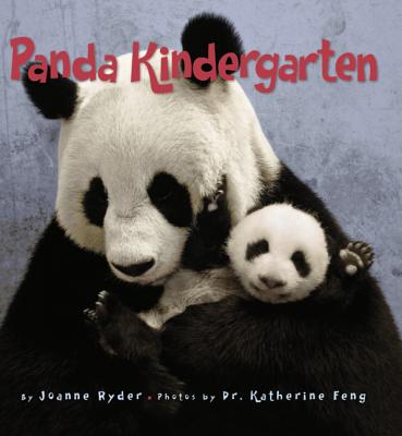 Panda Kindergarten By Joanne Ryder, Katherine Feng (Illustrator) Cover Image