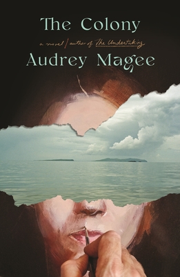 The Colony: A Novel By Audrey Magee Cover Image