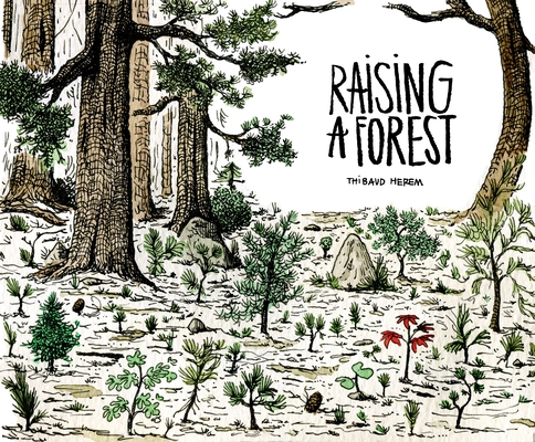 Raising a Forest By Thibaud Herem (Illustrator) Cover Image
