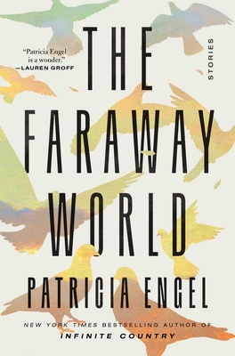 Cover for The Faraway World