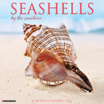 Seashells 2022 Wall Calendar Cover Image