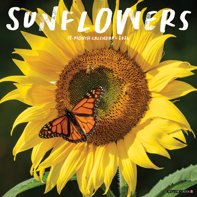 Sunflowers 2024 12 X 12 Wall Calendar Cover Image