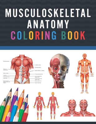 Musculoskeletal Anatomy Coloring Book: Musculoskeletal Anatomy Coloring Work book for Medical and Nursing students. Children's Science Books. Muscular Cover Image