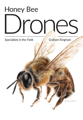Honey Bee Drones: Specialists in the Field By Graham Kingham, Simon Paterson (Designed by) Cover Image