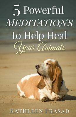 5 Powerful Meditations to Help Heal Your Animals (Paperback) | Books and  Crannies