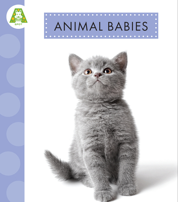 Animal Babies (Spot Best Ever Animals)