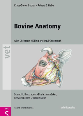 Bovine Anatomy Cover Image