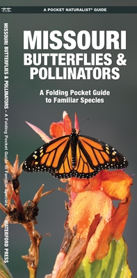 Missouri Butterflies & Pollinators: A Folding Pocket Guide to Familiar Species By James Kavanagh Cover Image
