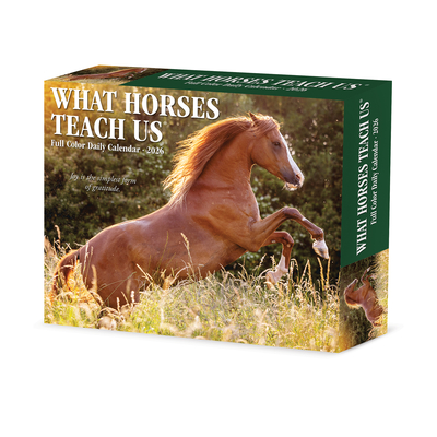 What Horses Teach Us 2026 Box Calendar By Glen Dromgoole Cover Image