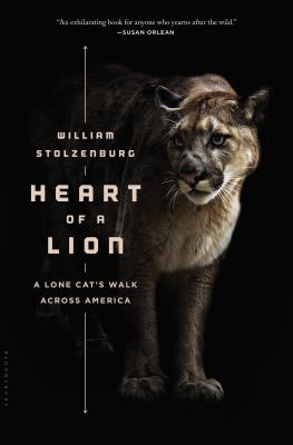 Heart of a Lion: A Lone Cat’s Walk Across America Cover Image