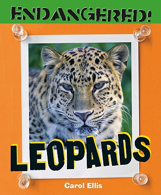 Leopards (Endangered!) (Library Binding) | Nantucket Book Partners