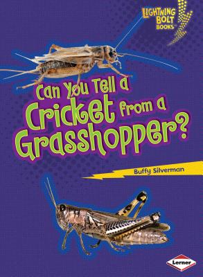 Can You Tell a Cricket from a Grasshopper? By Buffy Silverman Cover Image