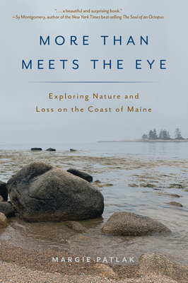 More Than Meets the Eye: Exploring Nature and Loss on the Coast of Maine By Margie Patlak Cover Image