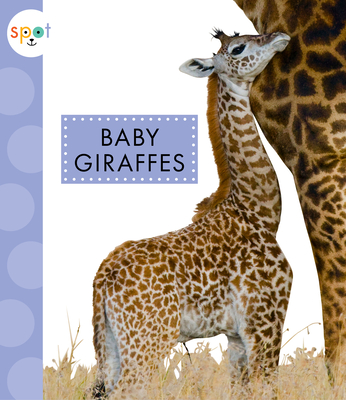 Baby Giraffes (Spot) Cover Image