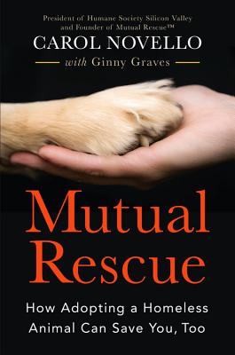Mutual Rescue: How Adopting a Homeless Animal Can Save You, Too