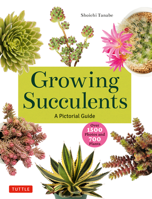 Growing Succulents: A Pictorial Guide (Over 1,500 Photos and 700 Plants) By Shoichi Tanabe Cover Image