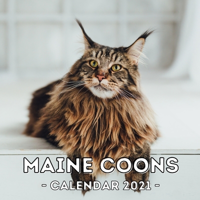 Maine Coons: 2021 Wall Calendar, Cute Gift Idea For Maine Coon Cats Lovers Or Owners Men And Women (Paperback) | Vroman's Bookstore Maine Coons: 2021 Wall Calendar, Cute Gift Idea For Maine Coon Cats Lovers Or Owners Men And Women (Paperback) | Vroman's Bookstore