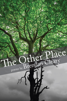The Other Place By Brendan Cleary Cover Image